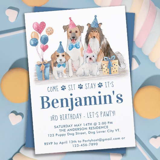 Invitation Chien de fête Chien Bleu Garçon Anniversaire Pawty