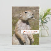 Invitation Chien de prairie à queue noire (Debout devant)