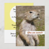 Invitation Chien de prairie à queue noire (Devant / Derrière)