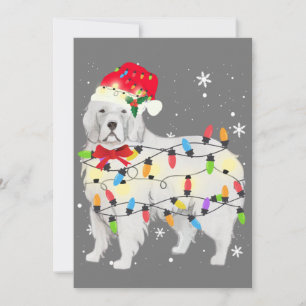 Invitation Chien des Grands Pyrénées Noël Lumière Xmas Maman