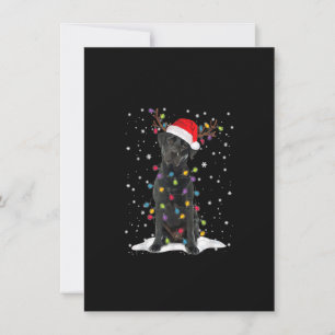 Invitation Chien en pyjama avec lumière de sapin de Noël Labr