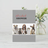 Invitation chien mignon de taureau de chien de basset d'amis (Debout devant)