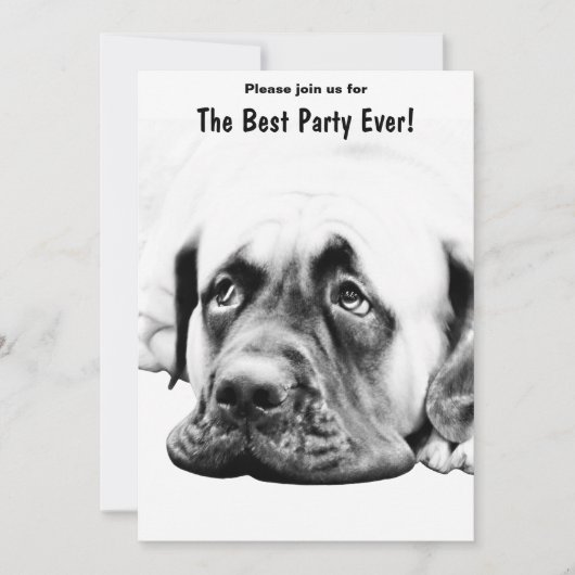 Invitation Chien mignon Mastiff (Devant)