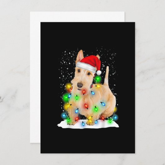 Invitation Chien pâté de Noël écossais de père Noël Terrier (Devant / Derrière)