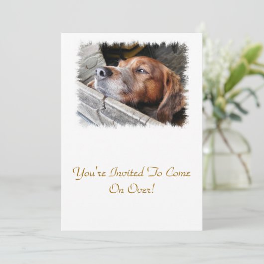 INVITATION CHIENS (Debout devant)