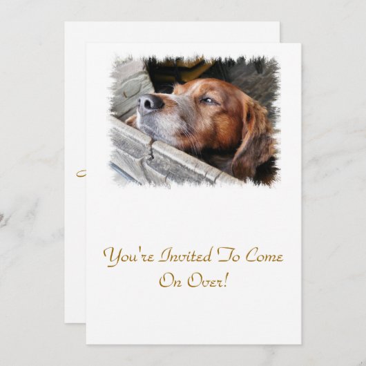 INVITATION CHIENS (Devant / Derrière)