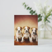 Invitation Chiens de taureau anglais vraiment mignons (Debout devant)