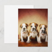 Invitation Chiens de taureau anglais vraiment mignons (Devant / Derrière)