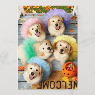 Invitation Chiens dorés Trick or Treating