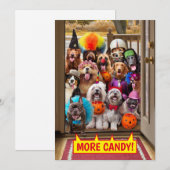 Invitation Chiens en quête de friandises (Devant / Derrière)