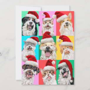 Invitation Chiens et chats avec la barbe du Père Noël