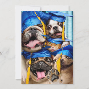 Invitation Chiens et chats diplômés en photomaton