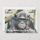 INVITATION CHIMPANZÉS CUITS (Devant)