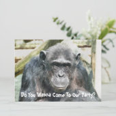 INVITATION CHIMPANZÉS CUITS (Debout devant)