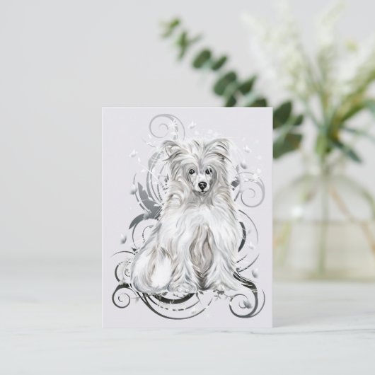 Invitation Chinois Crested Blue (Debout devant)