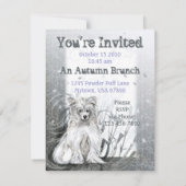 Invitation Chinois Crested Blue (Dos)