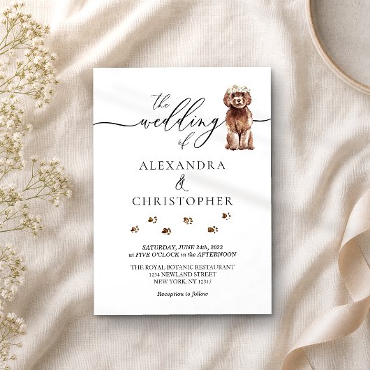 Invitation Chiographie de mariage de chiot Cavapoo marron