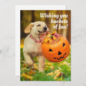 Invitation Chiot avec seau de citrouille (Devant / Derrière)