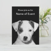 Invitation Chiot de Jack Russell Terrier (Debout devant)