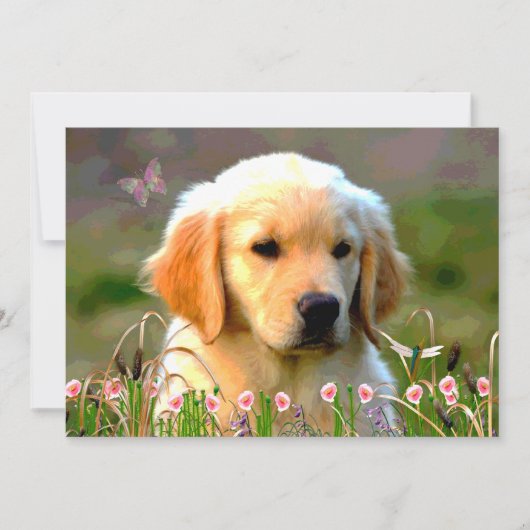 Invitation Chiot d'or d'Austin Labrador (Devant)