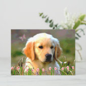 Invitation Chiot d'or d'Austin Labrador (Debout devant)