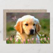 Invitation Chiot d'or d'Austin Labrador (Devant / Derrière)