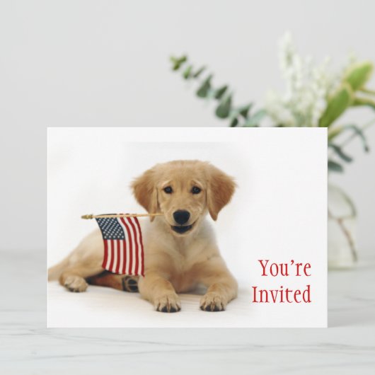 Invitation Chiot d'or et drapeau américain (Debout devant)