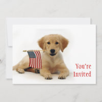 Chiot d'or et drapeau américain