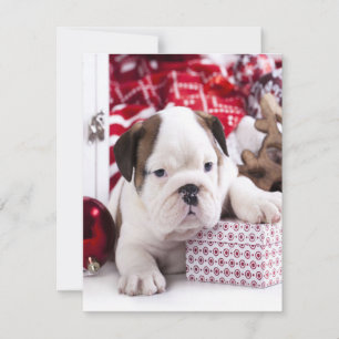 Invitation Chiot mignon Bouledogue Anglais Noël drôle