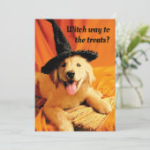 Invitation Chiots avec chapeau de sorcière et balai (Debout devant)