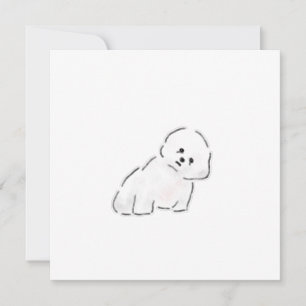 Invitation Chiots Bichon Frise Blanc