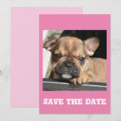 Invitation Chiots Bouledogue français (Devant / Derrière)