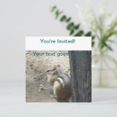 Invitation Chipmunk Midland Ontario (Debout devant)