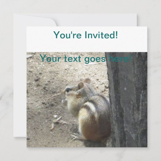 Invitation Chipmunk Midland Ontario (Devant)