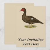 Invitation Chocolat de canard à moisissures (Devant / Derrière)