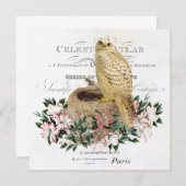 Invitation chouette d'hiver vintage (Devant / Derrière)