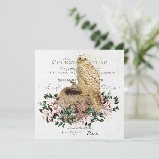 Invitation chouette d'hiver vintage (Debout devant)