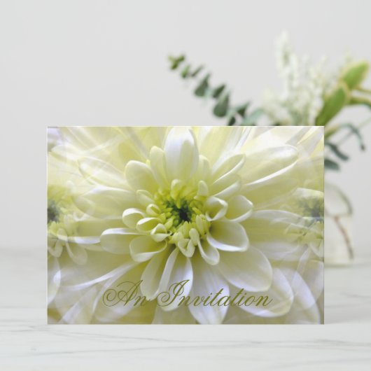 INVITATION CHRYSANTHEMUM (Debout devant)