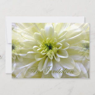INVITATION CHRYSANTHEMUM