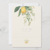 Invitation Citron méditerranéen avec code QR | Ivoire (Dos)