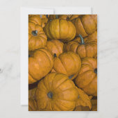 Invitation Citrouilles Orange d'Automne Après-Mariage Brunche (Dos)