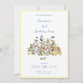 Invitation Classic Peter le lapin Anniversaire Fête Invitatio (Devant)