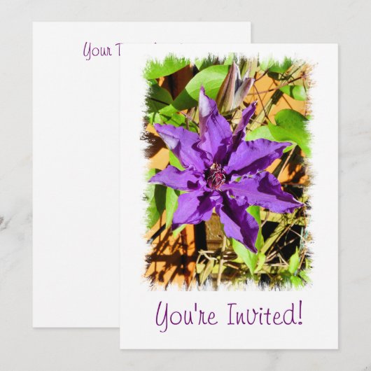 INVITATION CLEMATIS (Devant / Derrière)