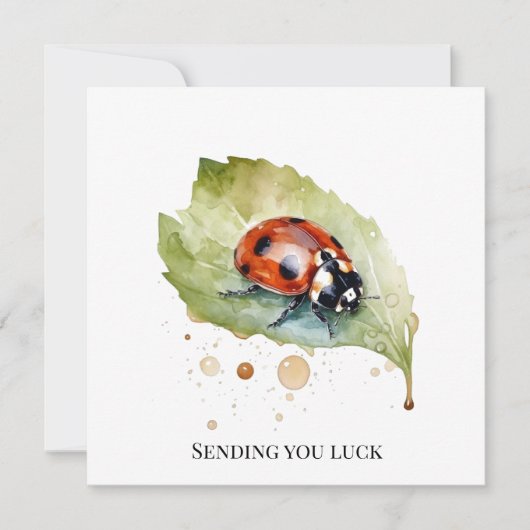 Invitation Coccinelle chanceuse sur une feuille (Devant)