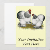 Invitation Cochins : Bantams colombiens (Devant / Derrière)