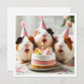Invitation Cochons de Guinée mangeant du gâteau, anniversaire (Devant / Derrière)