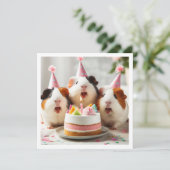 Invitation Cochons de Guinée mangeant du gâteau, anniversaire (Debout devant)