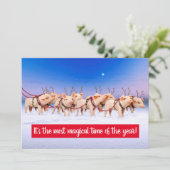 Invitation Cochons de Renne (Debout devant)