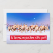 Invitation Cochons Rennes (Devant)