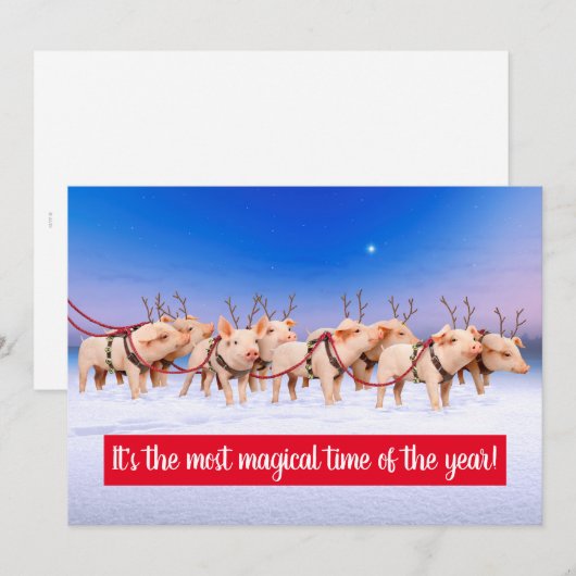 Invitation Cochons Rennes (Devant / Derrière)